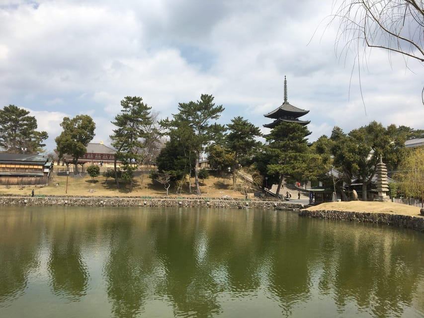Nara: Half-Day Private Guided Tour - What You’ll Love About This Tour