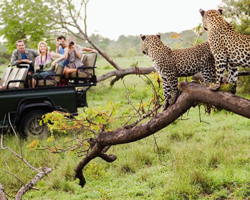 Jaipur: Jhalana/Amargarh Leopard Safari Private Tour - What You Can Expect