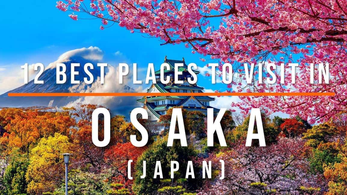 3 Days Private Osaka Kyoto and Nara Tour with English Driver - Who Would Love This Tour?