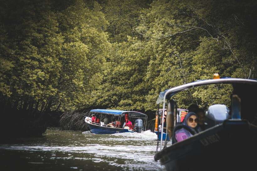 Langkawi: Tanjung Rhu Mangrove Speedboat Tour - The Sum Up