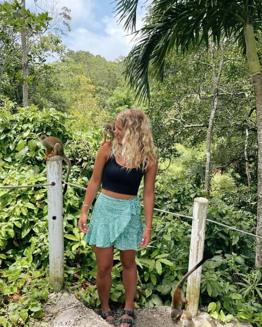 Monkey jungle tour + Transportation from cruise/hotel - Exploring the Local Countryside Home