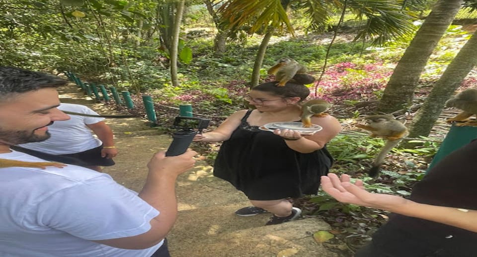 Monkey jungle tour + Transportation from cruise/hotel - Transportation and Logistics