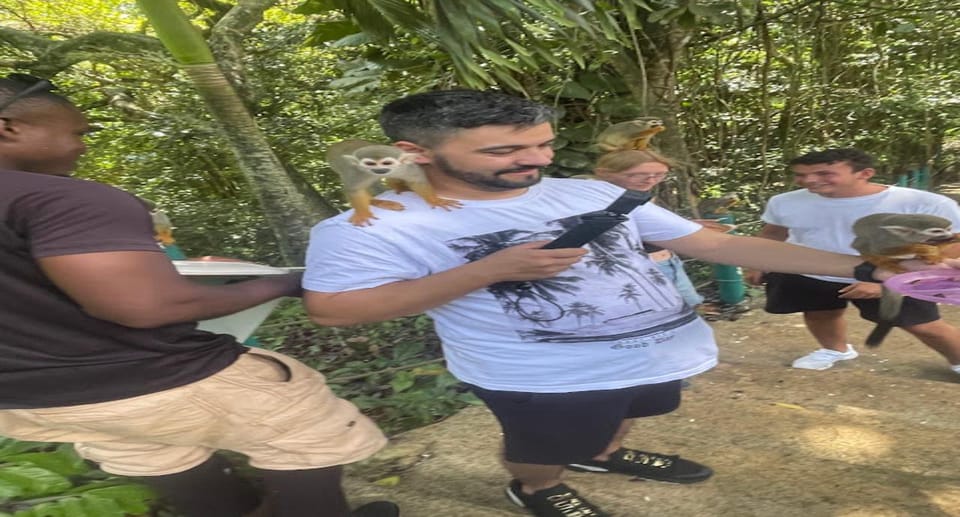 Monkey jungle tour + Transportation from cruise/hotel - Insights From Reviews: What Do Past Guests Say?