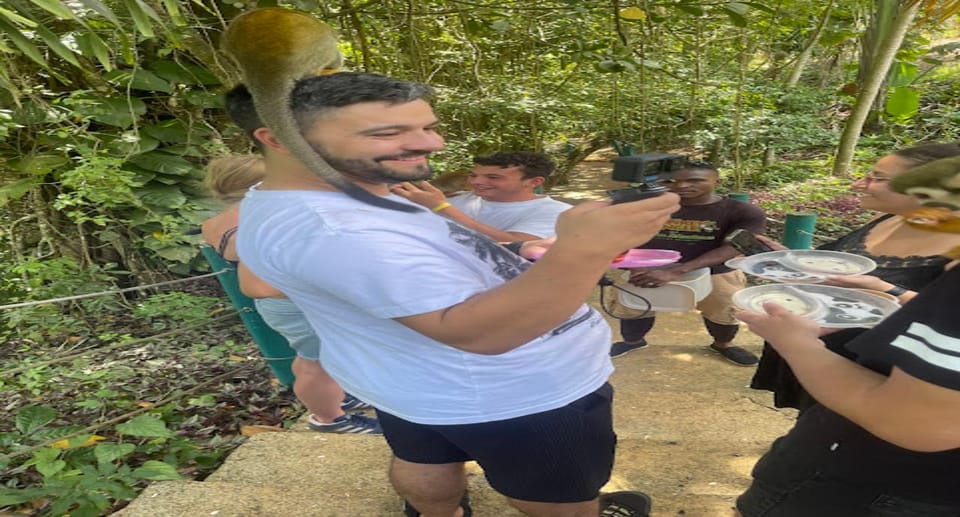 Monkey jungle tour + Transportation from cruise/hotel - Detailed Breakdown of the Tour Itinerary