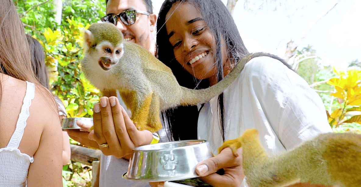 Monkey jungle tour + Transportation from cruise/hotel - Who Should Consider This Tour?