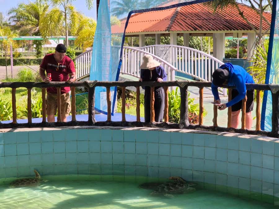 Phuket: Sea Turle Center,Temples,Tsunami & Elephant and More - Who Should Consider This Tour?