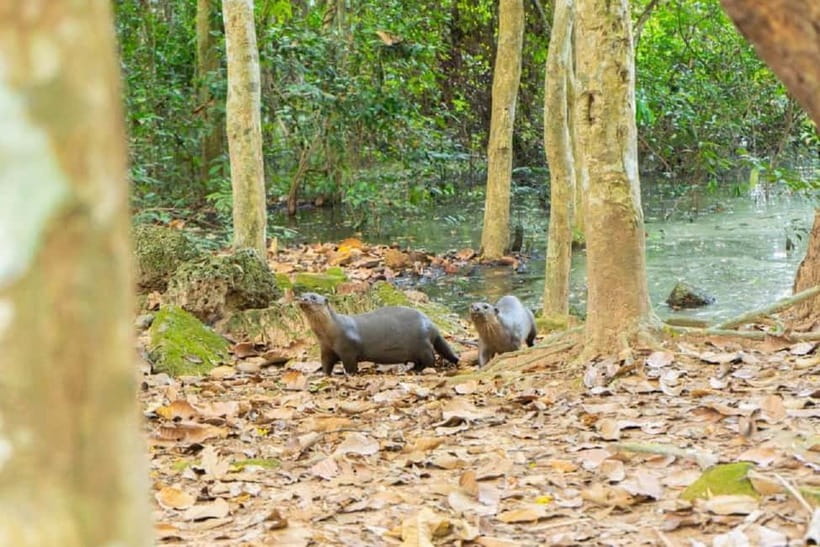 Angkor Bike tour & Gondola Sunset Boat - An Authentic Journey through Angkor’s Countryside
