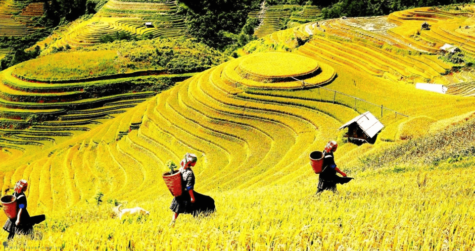 Journey Through Sapa Terraces & Traditions - An In-Depth Look at the Day’s Journey
