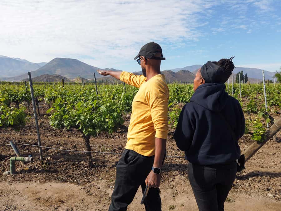 Santiago: Inca Lagoon Tour with Local Vineyard and Tasting - What to Expect at Each Stop