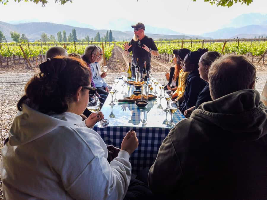 Santiago: Inca Lagoon Tour with Local Vineyard and Tasting - Analyzing the Cost and Value