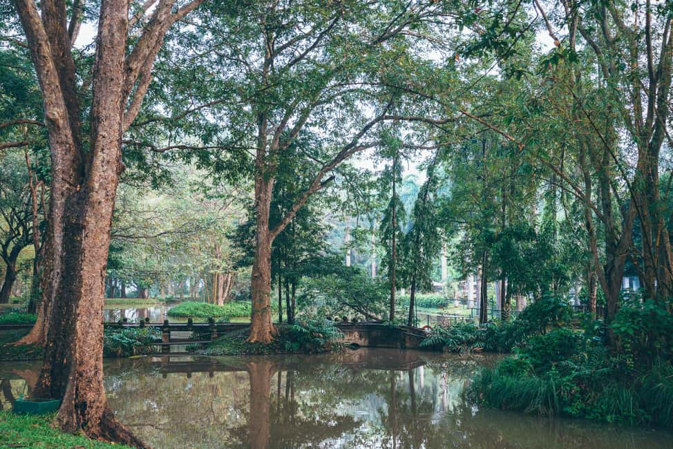 Minneriya National Park: Private Jeep Safari - All Inclusive - The Sum Up