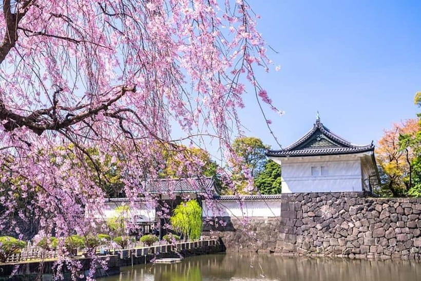 Tokyo: Private Tour of the Imperial Palace East Gardens - An In-Depth Look at the Tour