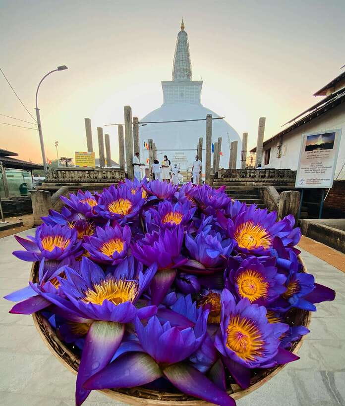 Sri Lanka Ancient Temple, Wildlife, Hill Country Train - Is This Tour Worth the Price?