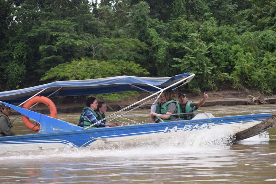 Sloth Search - Discovering Sloths and Wildlife in Puerto Maldonado