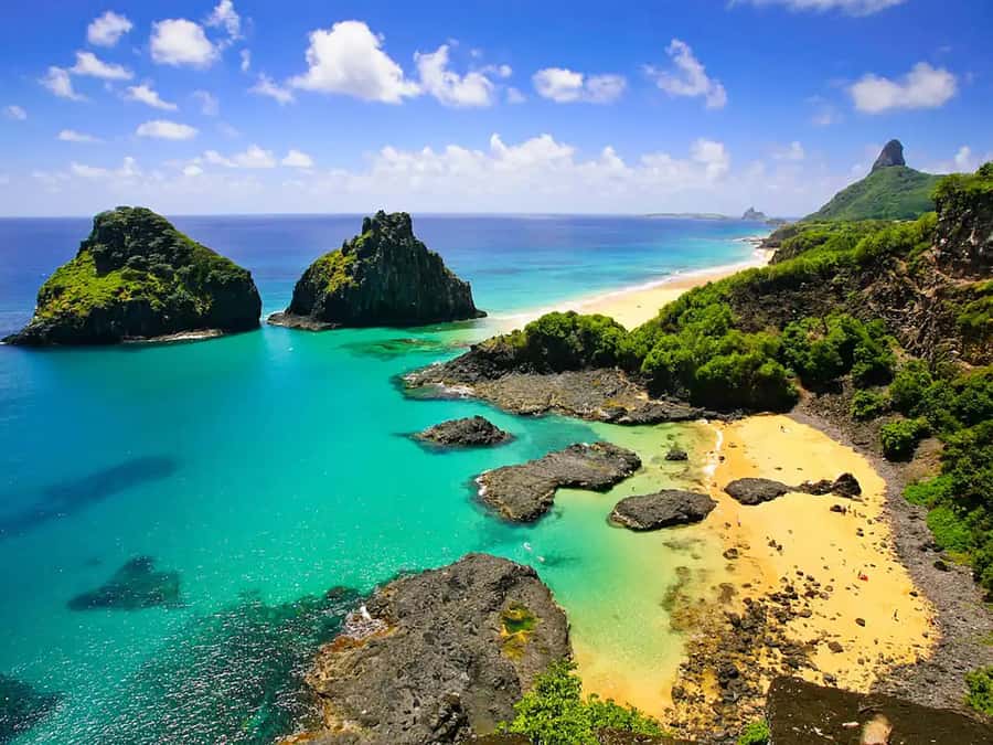 7-Hour Island Adventure: Fernando de Noronha Ilhatour - Key Points