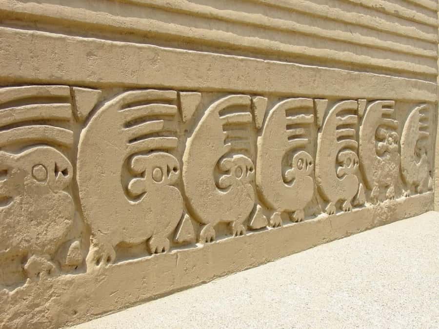 From Salaverry Port: Chan Chan and Ceviche Experience - Pricing and Value