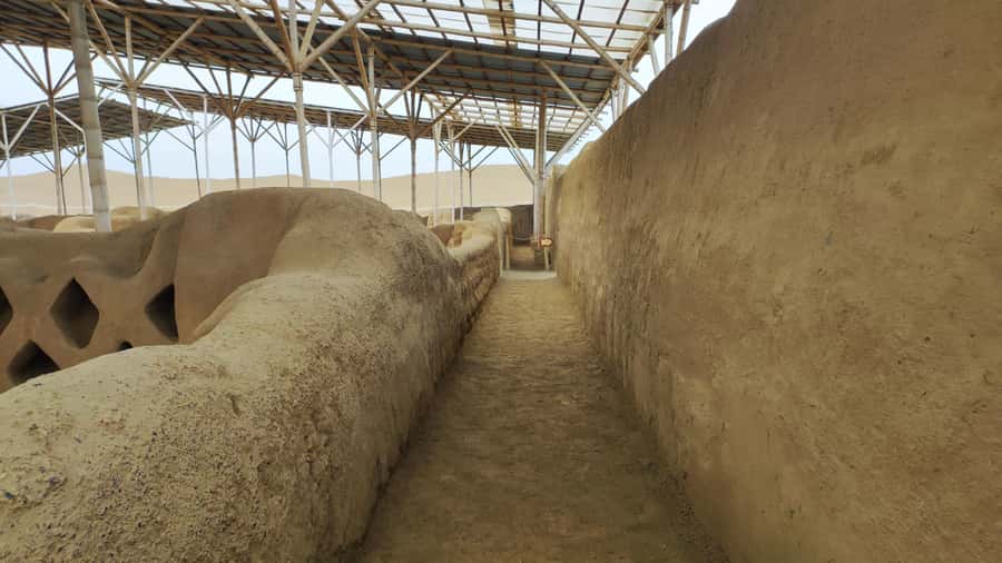 From Salaverry Port: Chan Chan and Ceviche Experience - Authenticity and Local Flavor