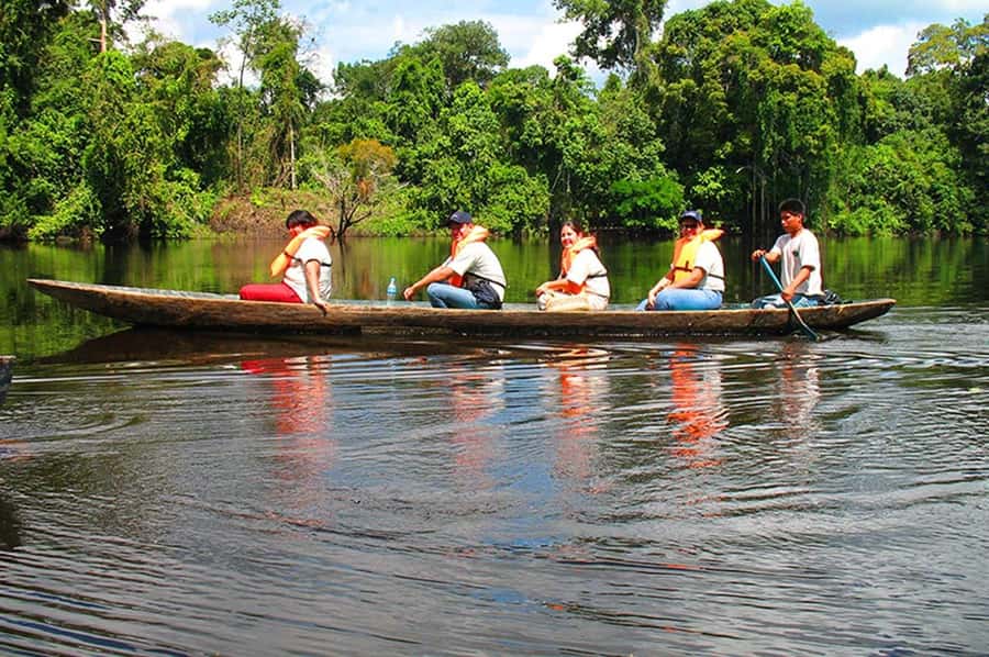 From Tambopata: piranha fishing - Exploring the Amazon: What to Expect on Your Piranha Fishing Tour