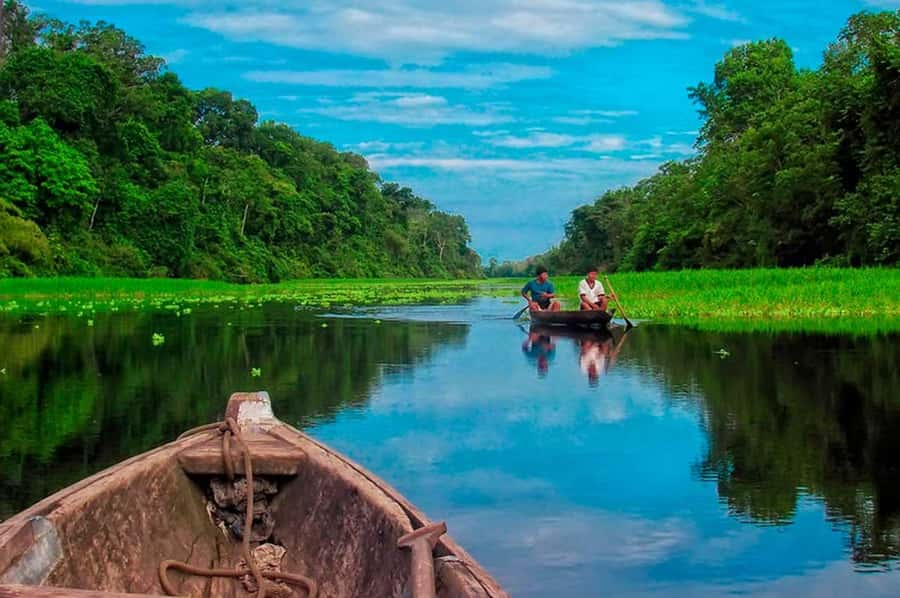 From Tambopata: piranha fishing - Deep Dive: The Itinerary and Why It Matters