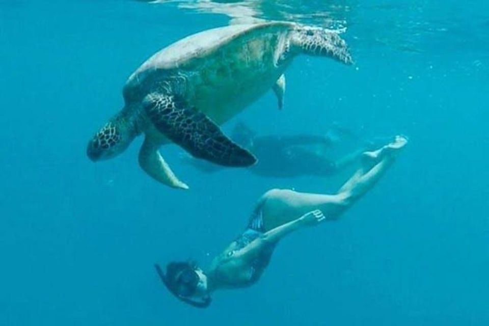 Waikiki Beach: Turtle Snorkeling and Sailing on Hwea - Final Word