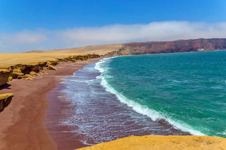 Minibuggy Adventure and visit to the Paracas Reserve - Practical Details and What to Expect