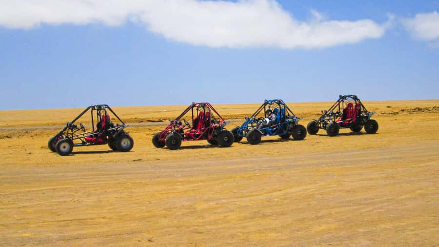 Minibuggy Adventure and visit to the Paracas Reserve - Authentic Insights from Visitors