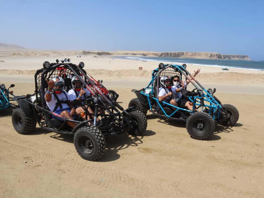 Minibuggy Adventure and visit to the Paracas Reserve - Exploring the Paracas Reserve