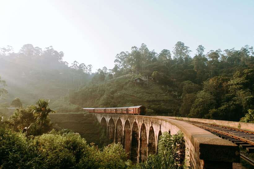 Ella: First Class Scenic Train Ticket To/From Nanuoya - Who Is This Experience Best For?