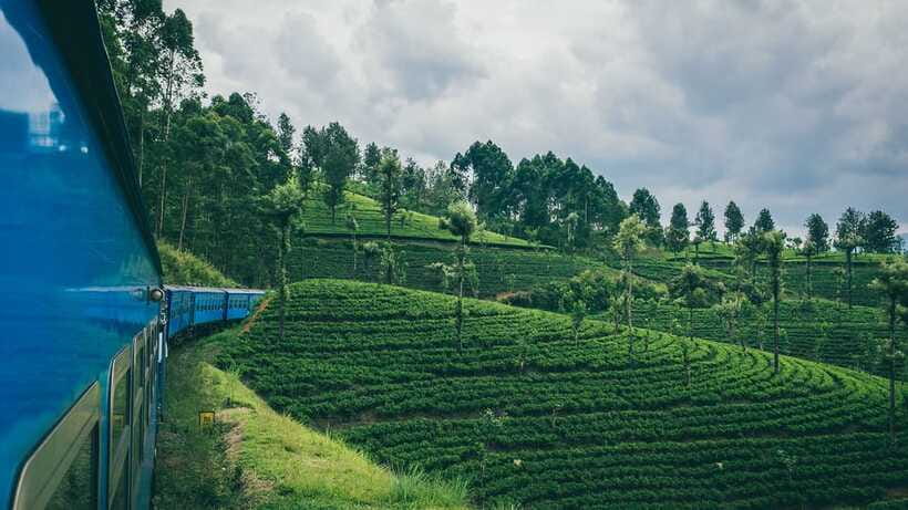Ella: First Class Scenic Train Ticket To/From Nanuoya - The Experience Provider and Booking Details