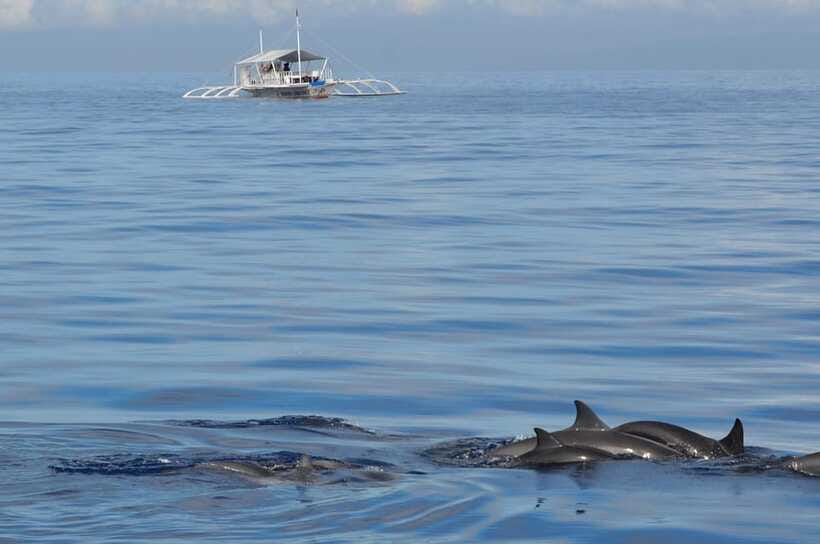 Bohol: Private Balicasag Tour with extra snorkeling time - Final Thoughts: Who Will Love This Tour?