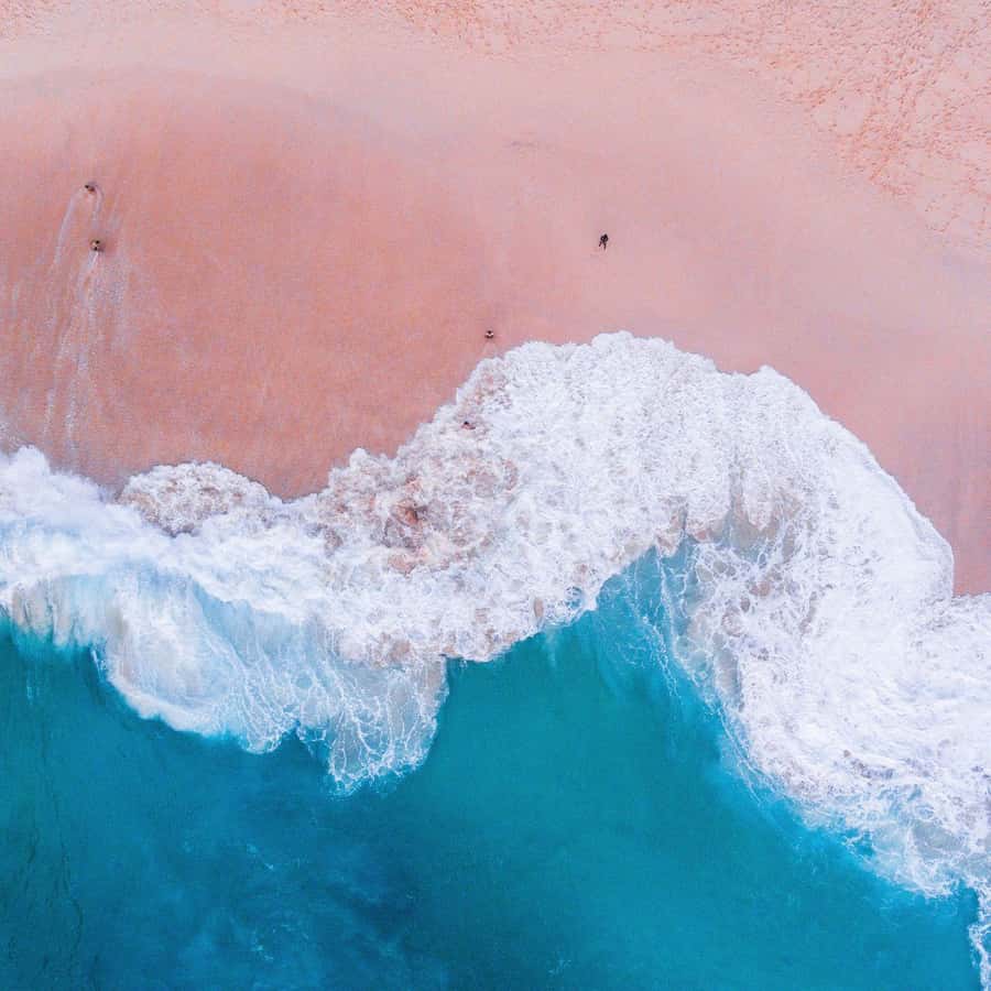 One-Day Komodo Tour By Speedboat - An Honest Look at the One-Day Komodo Tour by Speedboat