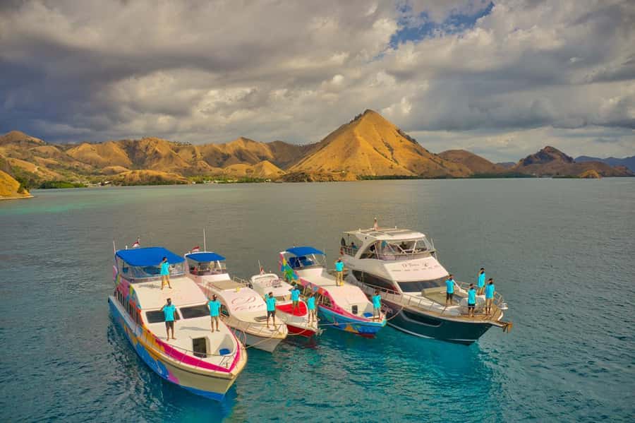 One-Day Komodo Tour By Speedboat - Who Should Consider This Tour?