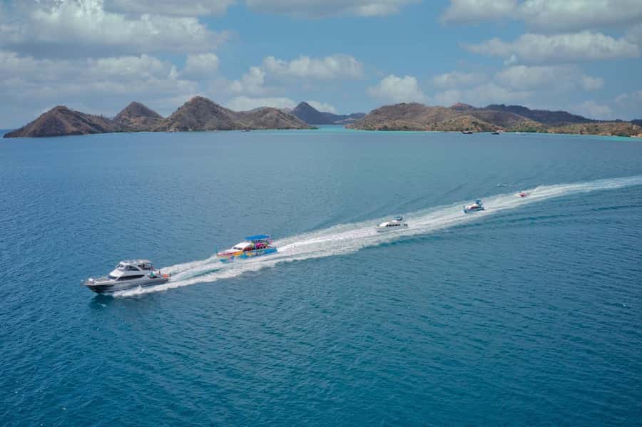 One-Day Komodo Tour By Speedboat - Authentic Insights from Past Travelers