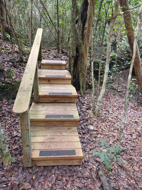 Guided Primeval Nature Walk Tour - Final Thoughts