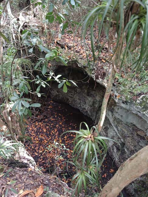 Guided Primeval Nature Walk Tour - FAQ