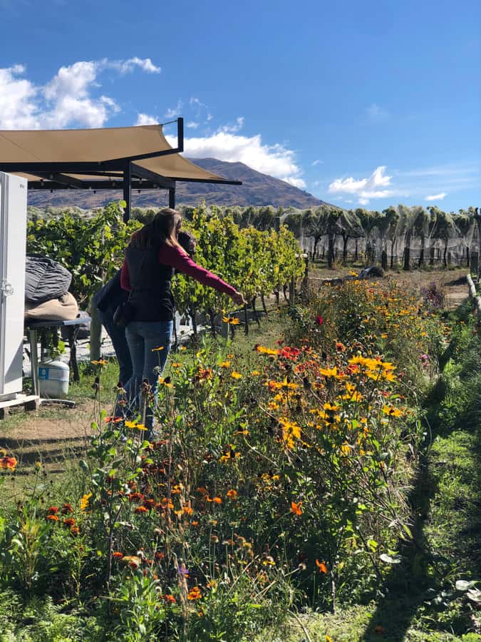 ebike tour lake Hawea river track to Wanaka - Authentic Experiences and Practical Details