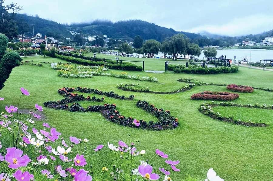 Kandy to Nuwara Eliya Guided Day Tour by Local - A Deep Dive into the Tour Experience