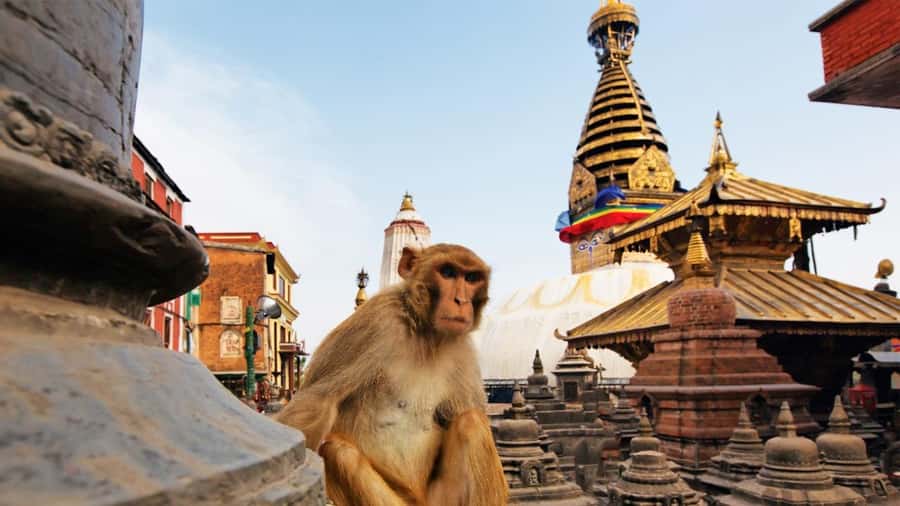Kathmandu: Chandragiri Cable Car and Monkey Temple Tour - FAQ