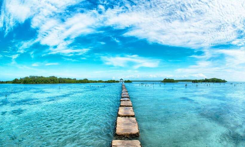 Cebu Mactan Island Hopping + Picnic Lunch (Private Tour) - What to Expect from the Tour