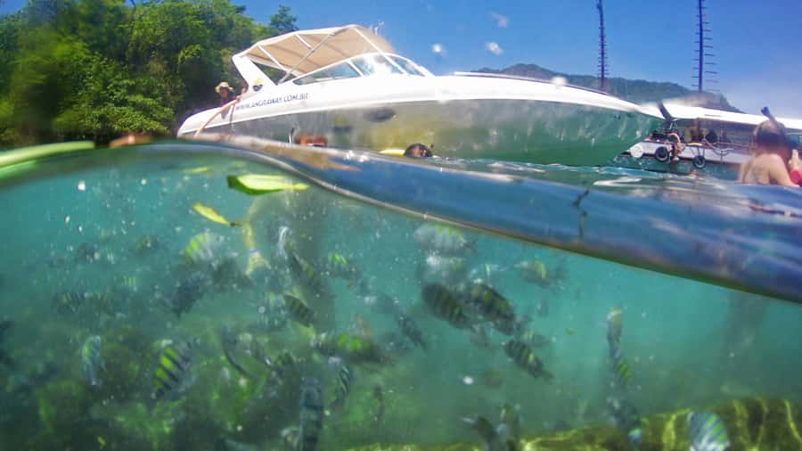 Angra dos Reis: Super Lagoa Azul Speedboat Tour - Who Is This Tour Perfect For?