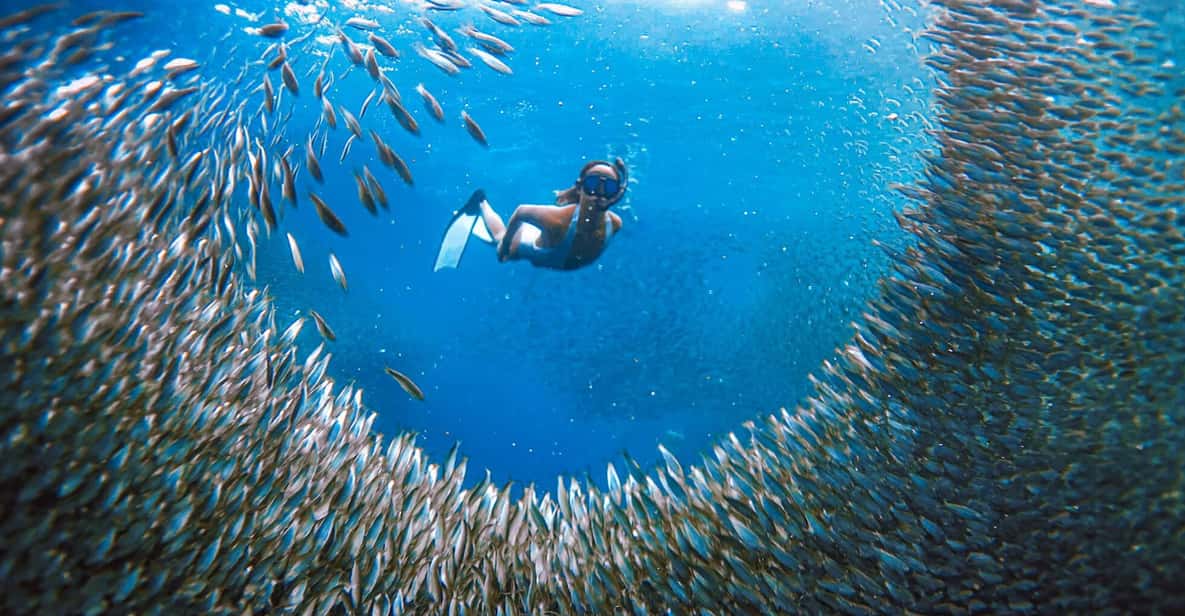 Cebu: Sardine Run Snorkeling, Mantayupan Falls & ATV Thrills - ATV Rides: Exploring the Countryside