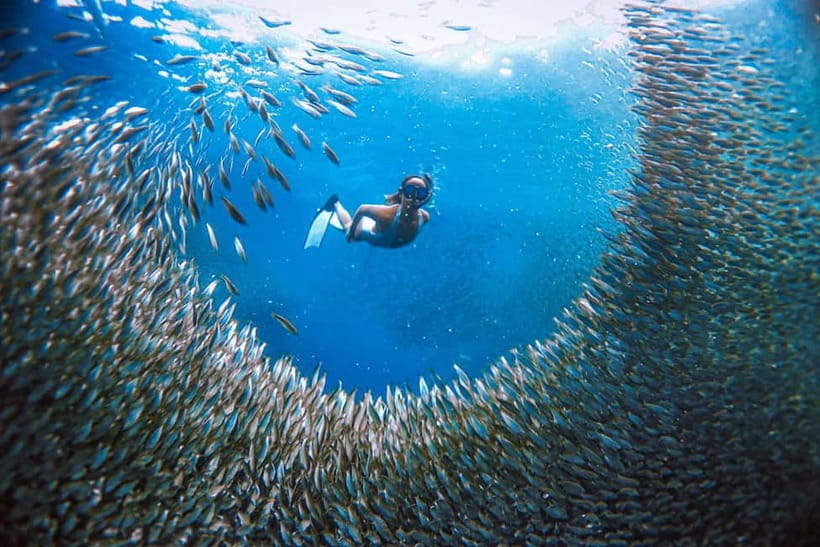 Cebu: Sardine Run Snorkeling, Mantayupan Falls & ATV Thrills - Mantayupan Falls: A Refreshing Retreat