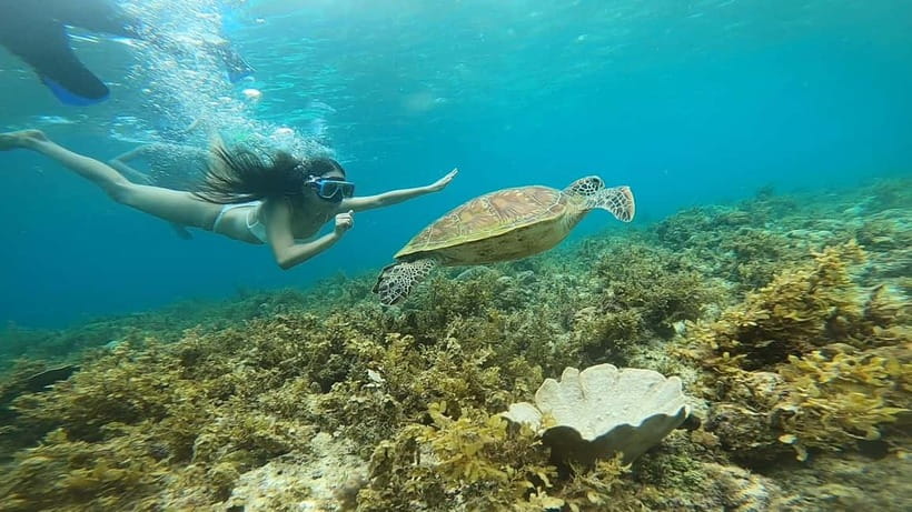 Cebu: Sardine Run Snorkeling, Mantayupan Falls & ATV Thrills - Who Is This Tour Best For?