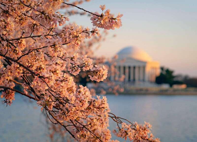 From New York: 7-Day Guided East Coast Cities & Sites Tour - Final Thoughts