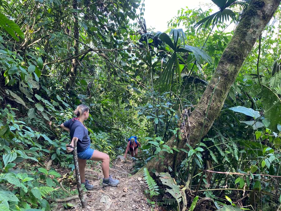 1-Day Trip from Medellín: Paragliding & Swim in Waterfall - FAQ