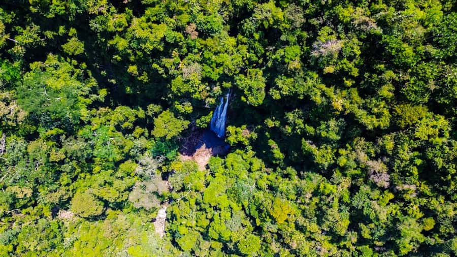 1-Day Trip from Medellín: Paragliding & Swim in Waterfall - Authentic Experiences and Genuine Value