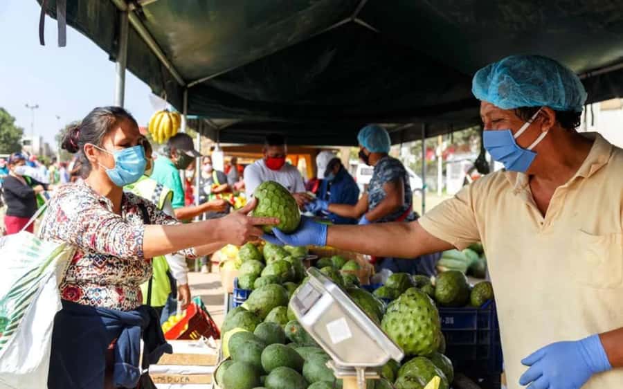 Lima Food Experience with local Markets & Barranco Tour - A Taste of Lima: Food, Markets, and Barranco in 3.5 Hours