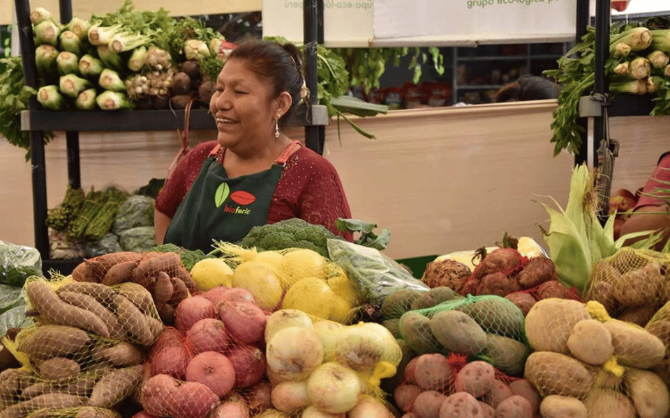 Lima Food Experience with local Markets & Barranco Tour - Who Will Love This Tour?