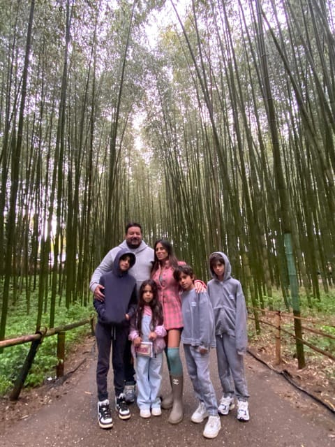 Nara and Kyoto Tour - Overview of the Experience