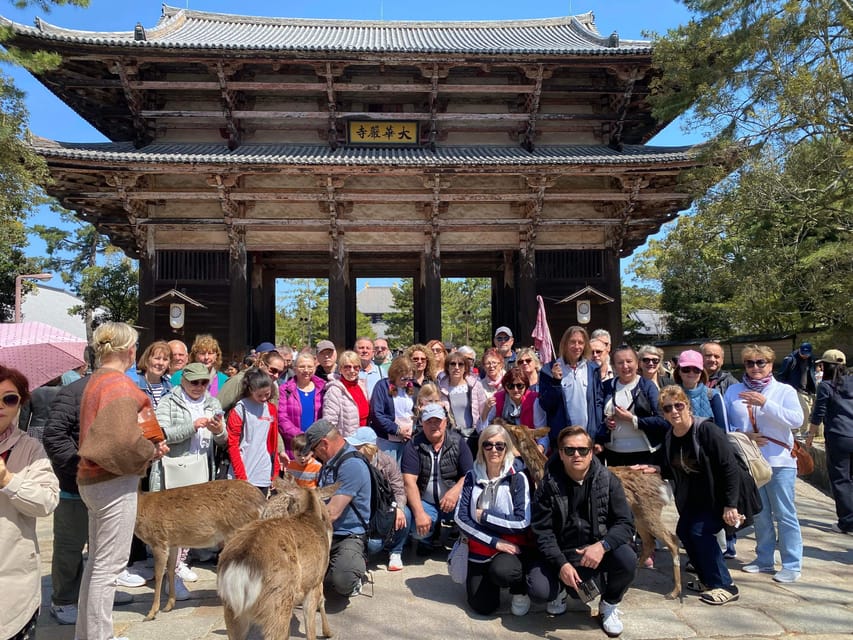 Nara and Kyoto Tour - Transportation and Logistics